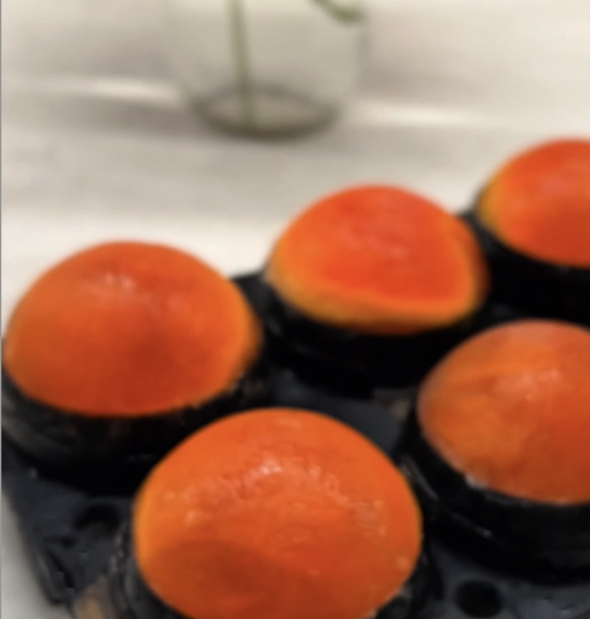 .Spritz ice cubes perfect cocktail, ice, and ice cube molds