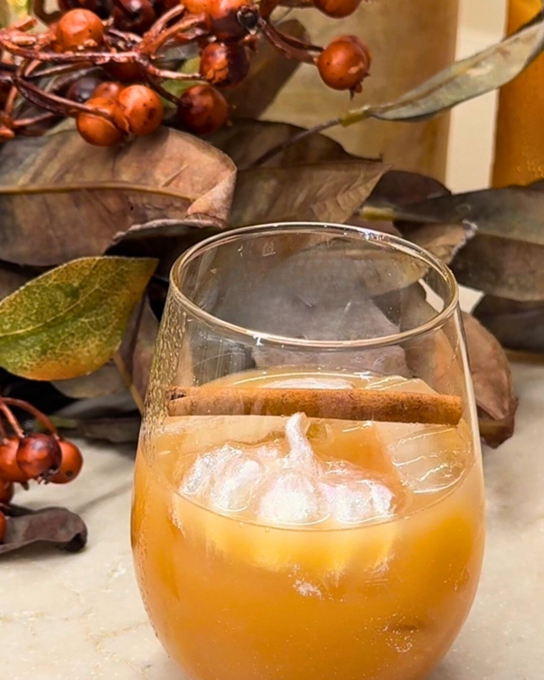 apple cider and cinnamon stick with a festive ice cube